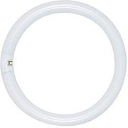Satco S6500 22W T9 Circline Fluorescent Bulb 4100K Cool White 4-Pin