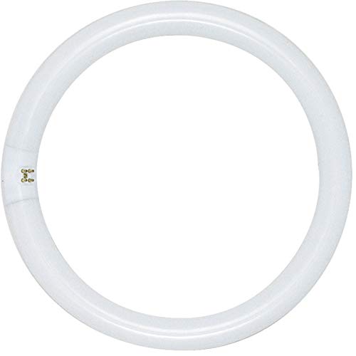 Satco S6500 22W T9 Circline Fluorescent Bulb 4100K Cool White 4-Pin