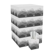 Georgia-Pacific Pacific Blue Basic 2-Ply Facial Tissue, 36 Boxes Bulk Case (47510)