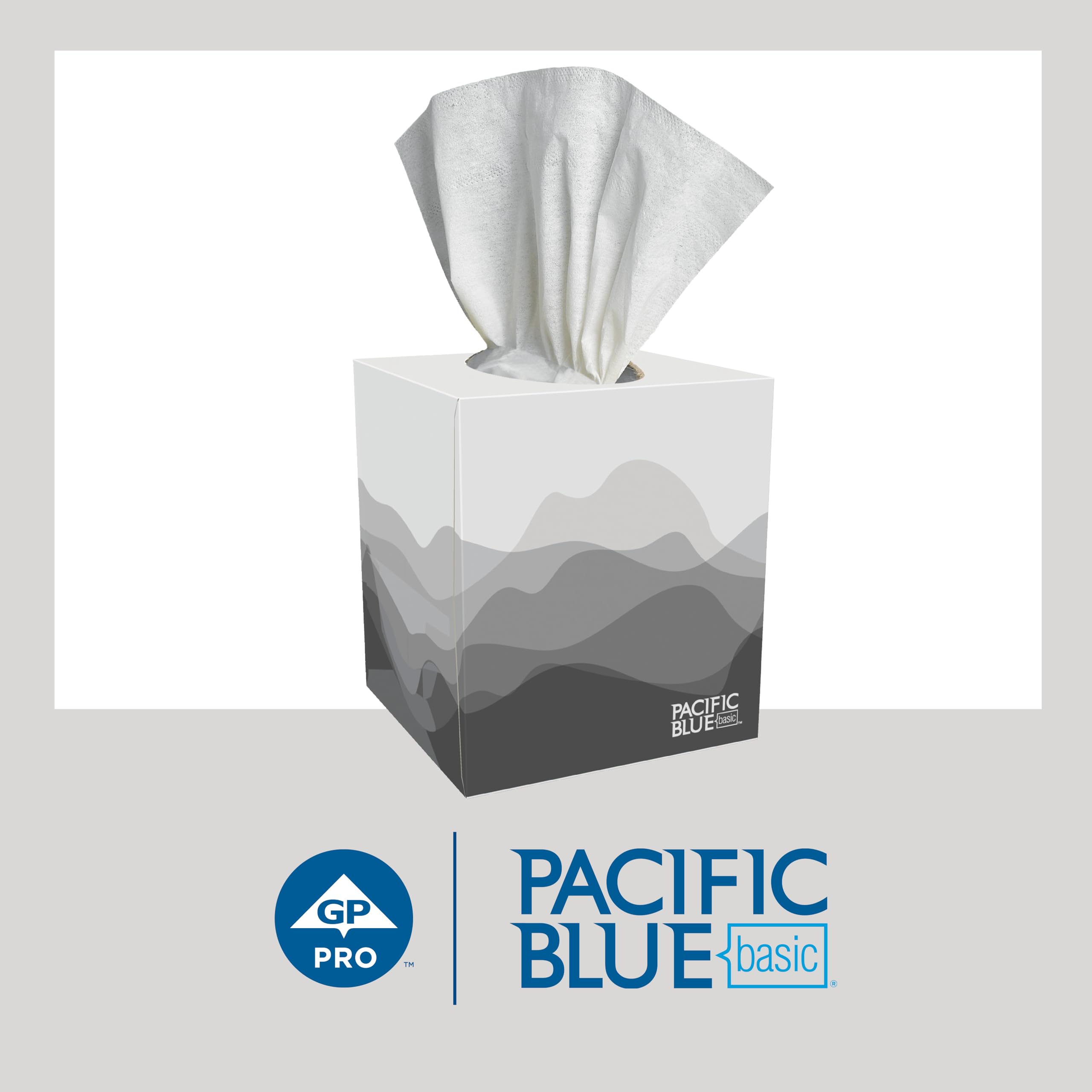 Georgia-Pacific Pacific Blue Basic 2-Ply Facial Tissue, 36 Boxes Bulk Case (47510)