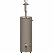 Performance 30 Gal. Tall 30,000 BTU Manufactured Housing Convertible Natural Gas/Propane Direct Vent Water Heater (Local Pickup Only)