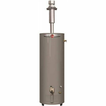 Performance 30 Gal. Tall 30,000 BTU Manufactured Housing Convertible Natural Gas/Propane Direct Vent Water Heater (Local Pickup Only)