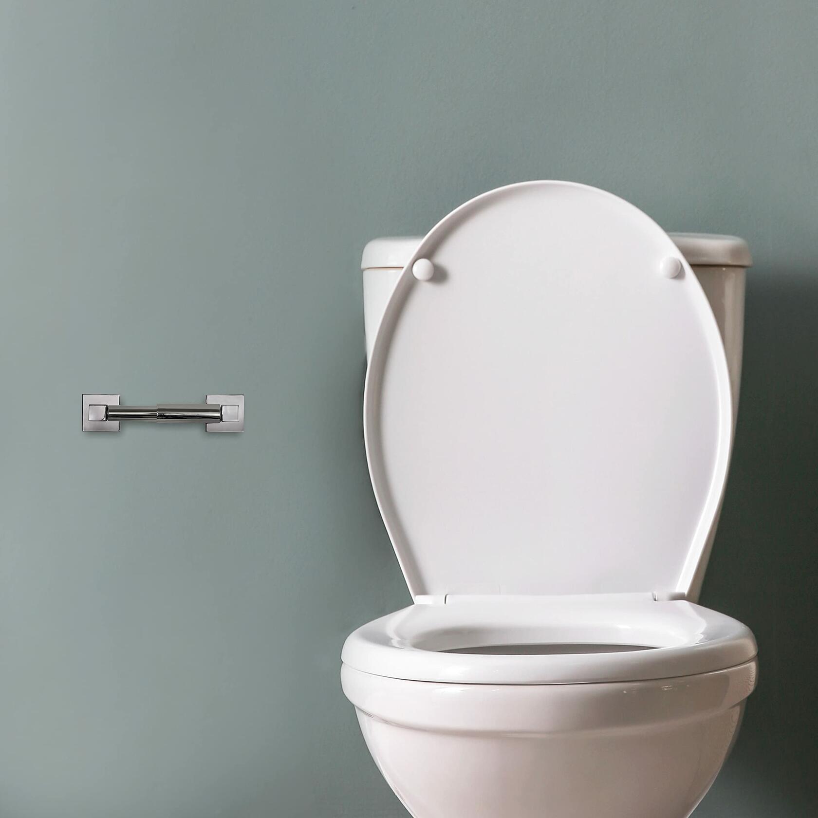 Design House Karsen Toilet Paper Holder 581496 (Polished Chrome Zinc)