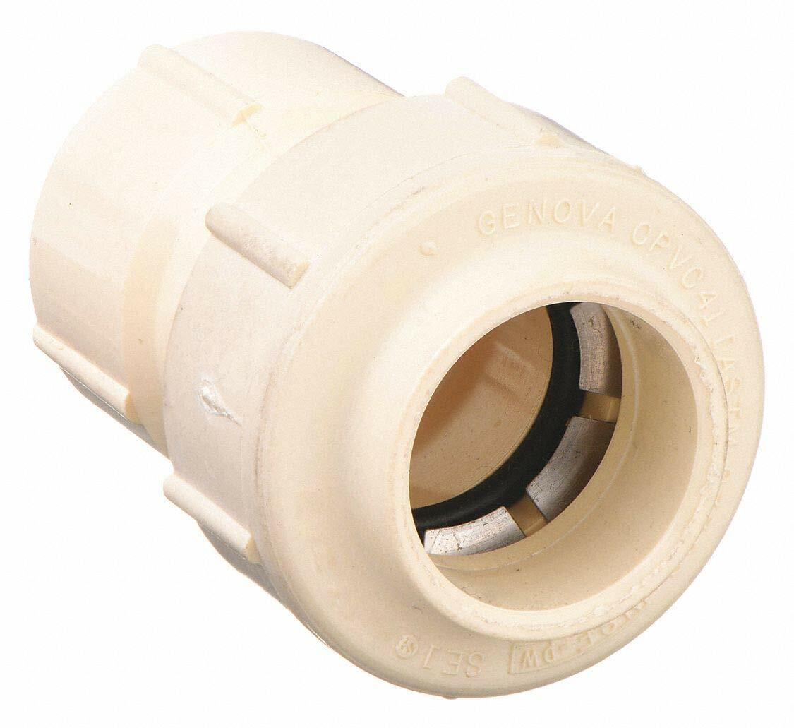 Genova 3/4" Hub Female Thread CPVC Adapter Compression (Pack of 4)
