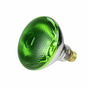 LB International 100W BR38 E26 Reflector Bulb Green (Pack of 3)